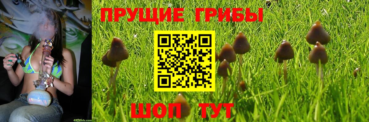 Евпатория  Галлюциногенные грибы MAGIC MUSHROOMS  Вход с VPN 