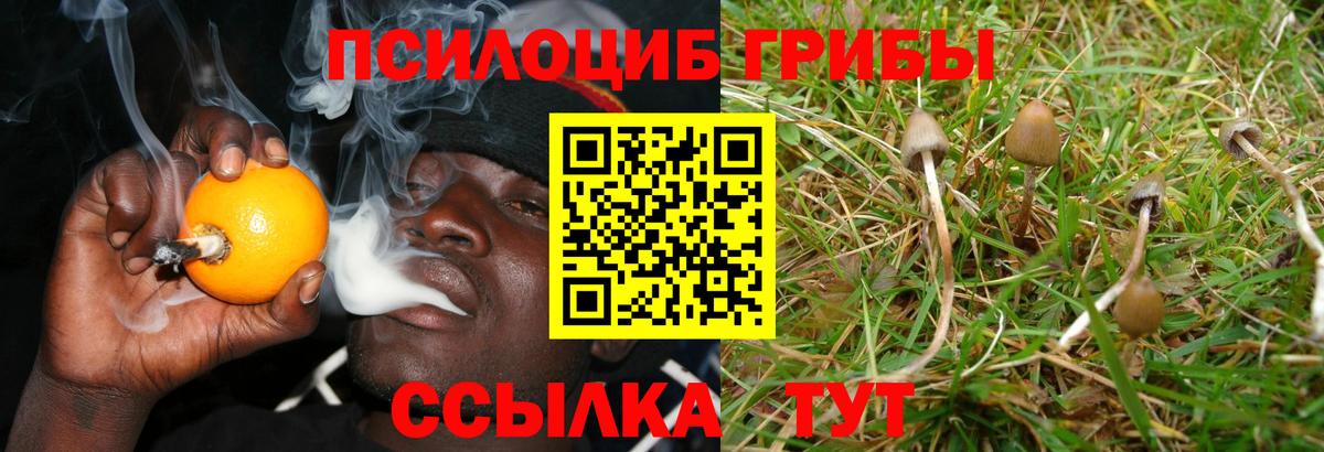 Галлюциногенные грибы прущие грибы Евпатория